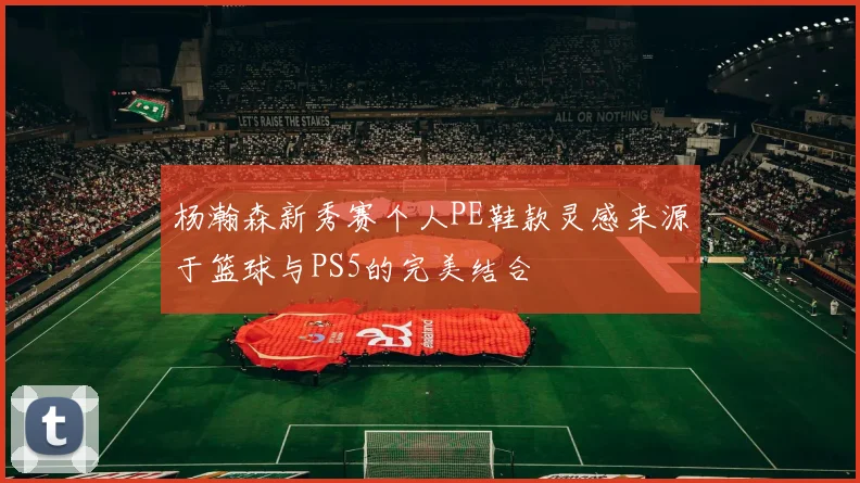 杨瀚森新秀赛个人PE鞋款灵感来源于篮球与PS5的完美结合