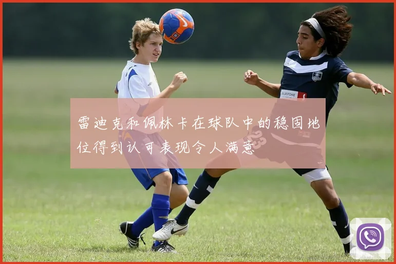 雷迪克和佩林卡在球队中的稳固地位得到认可表现令人满意