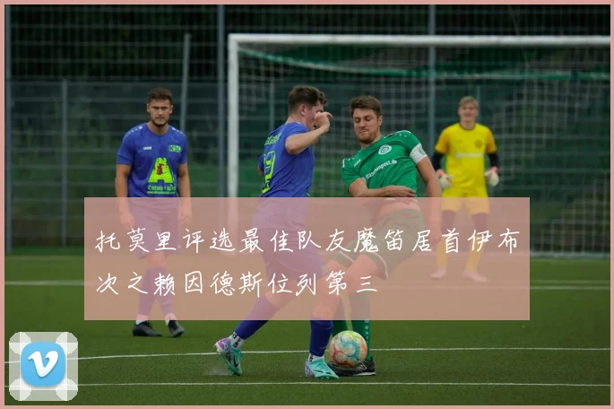 托莫里评选最佳队友魔笛居首伊布次之赖因德斯位列第三